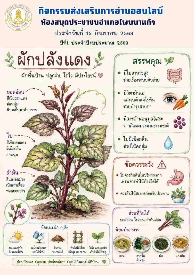 ผักปลังแดง
