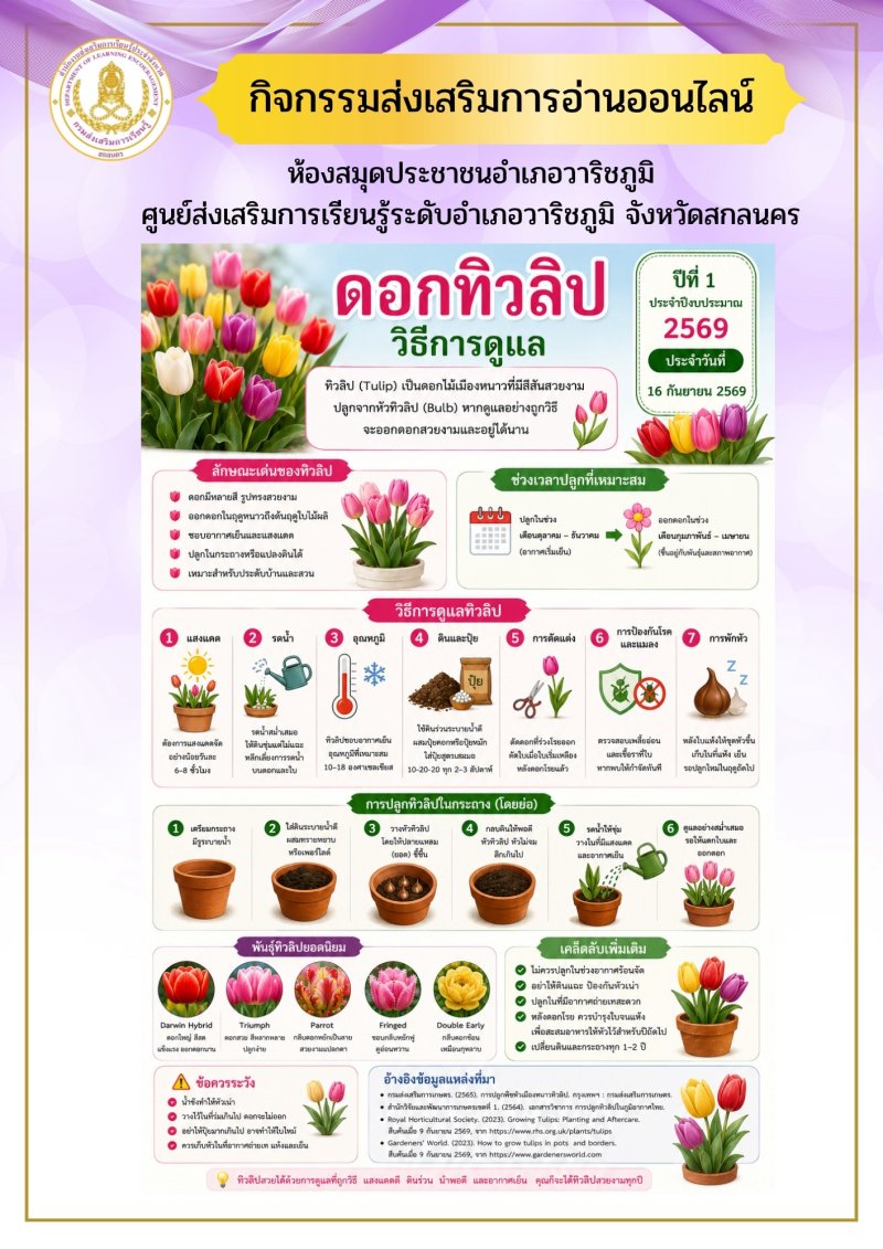 ดอกทิวลิปและวิธีการดูแล
