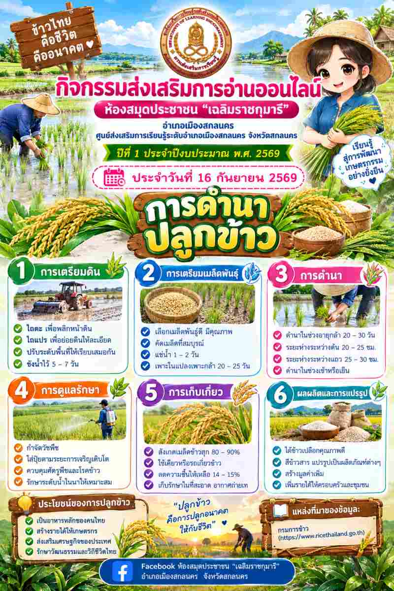 การดำนา ปลูกข้าว