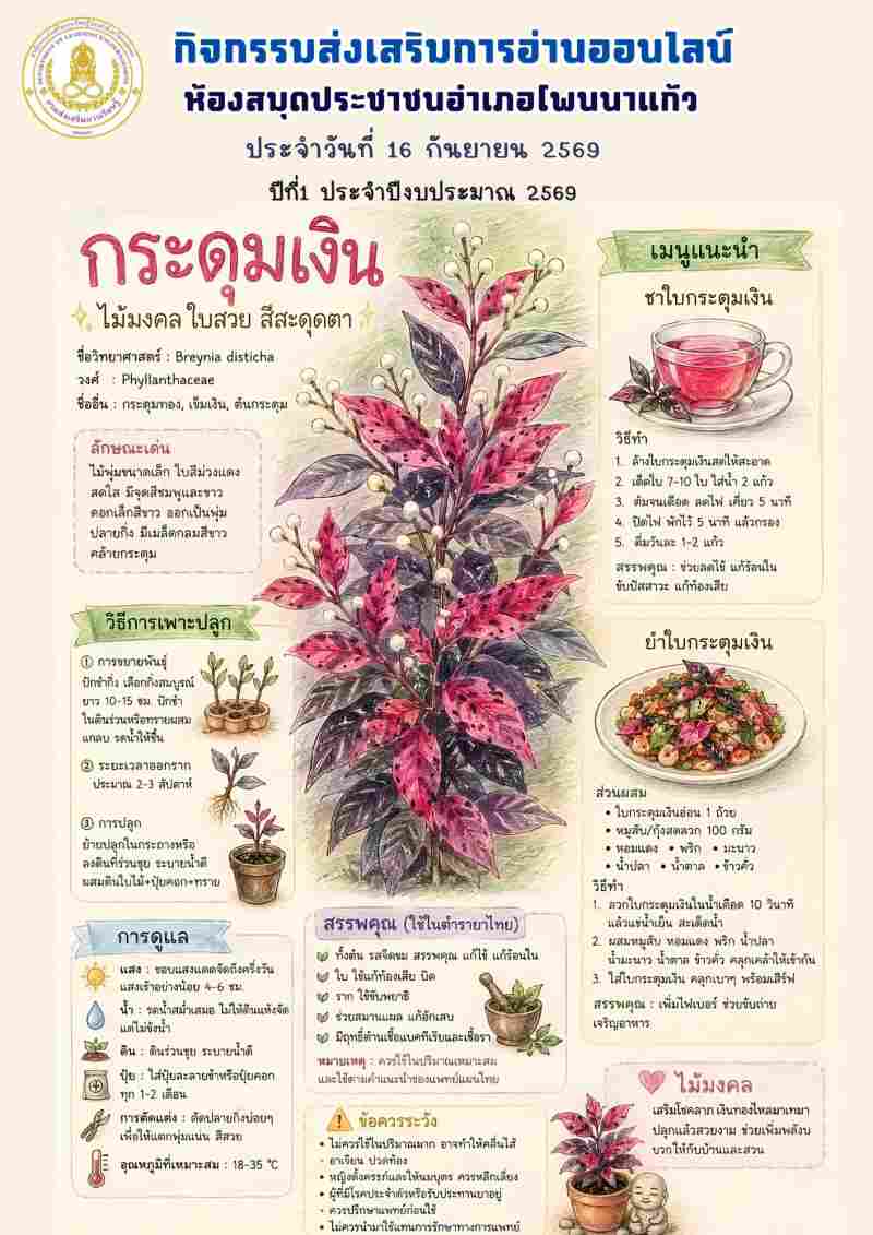 กระดุมเงิน
