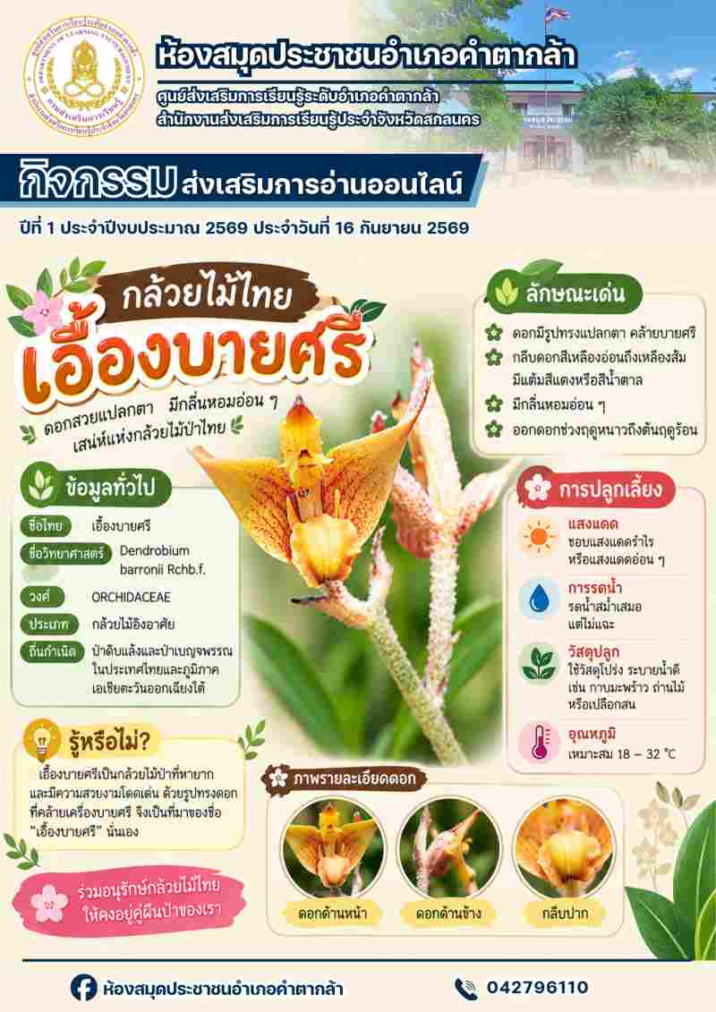กล้วยไม้เอื้องบายศรี