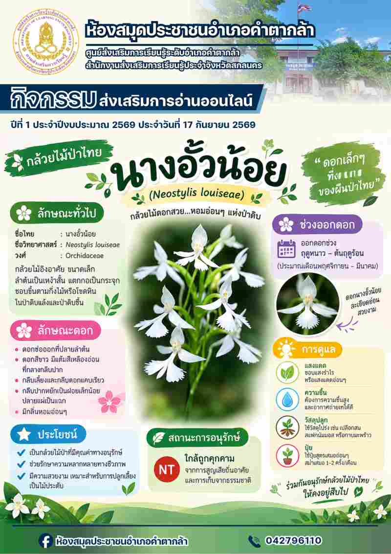 กล้วยไม้นางอั้วน้อย