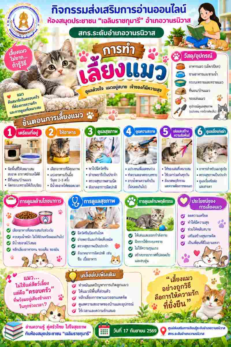 การเลี้ยงแมว