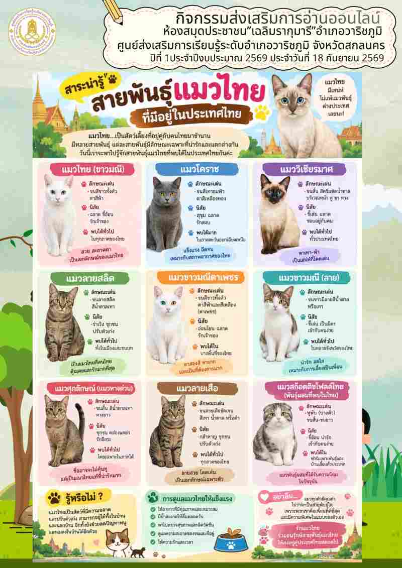 สาระน่ารู้ สายพันธุ์ แมวไทยที่มีอยู่ในประเทศไทย