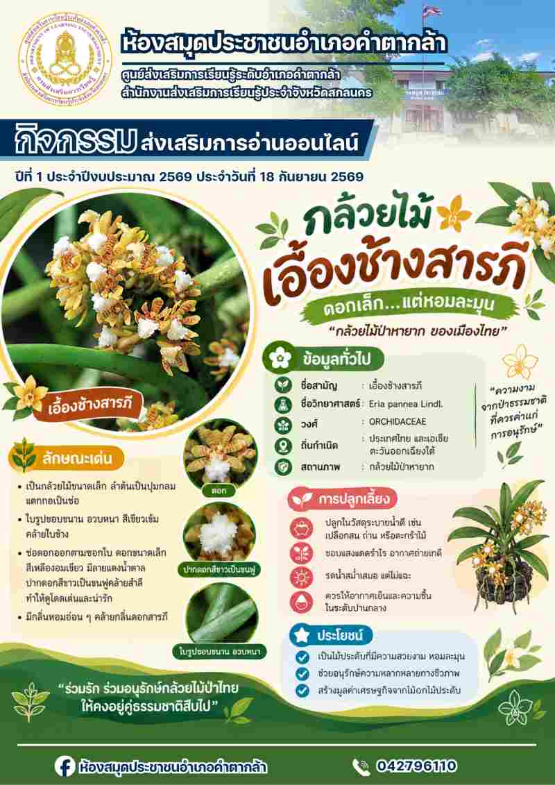 กล้วยไม้เอื้องช้างสารภี