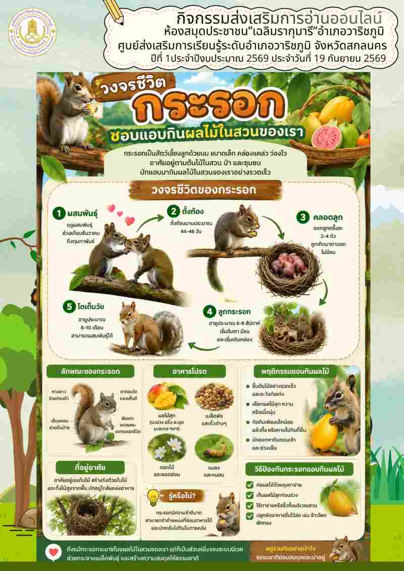 วงจรชีวิตกระรอก