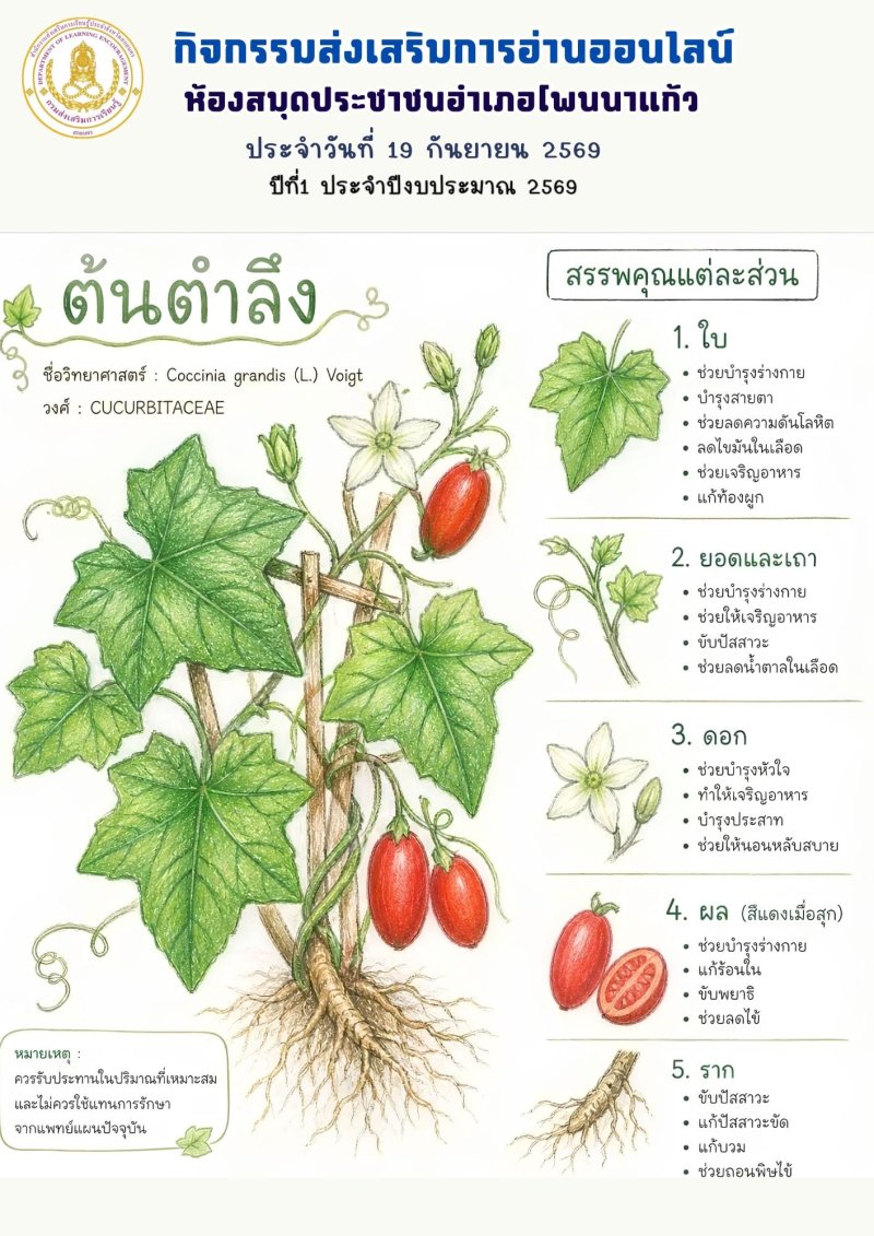 ต้นตำลึง