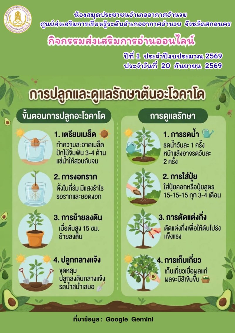 การปลูกและดูแลต้นอะโวคาโด