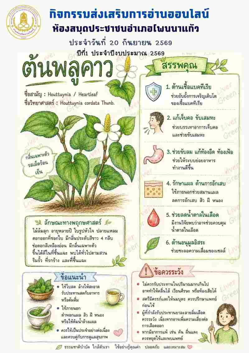 ต้นพลูคาว