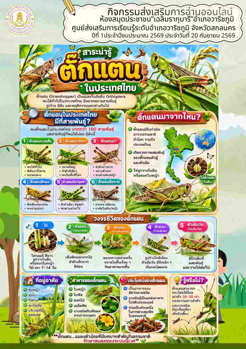 สาระน่ารู้ตั๊กแตนในประเทศไทย