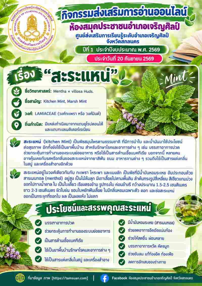 สาระแหน่