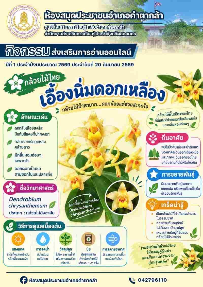 กล้วยไม้เอื้องนิ่มดอกเหลือง
