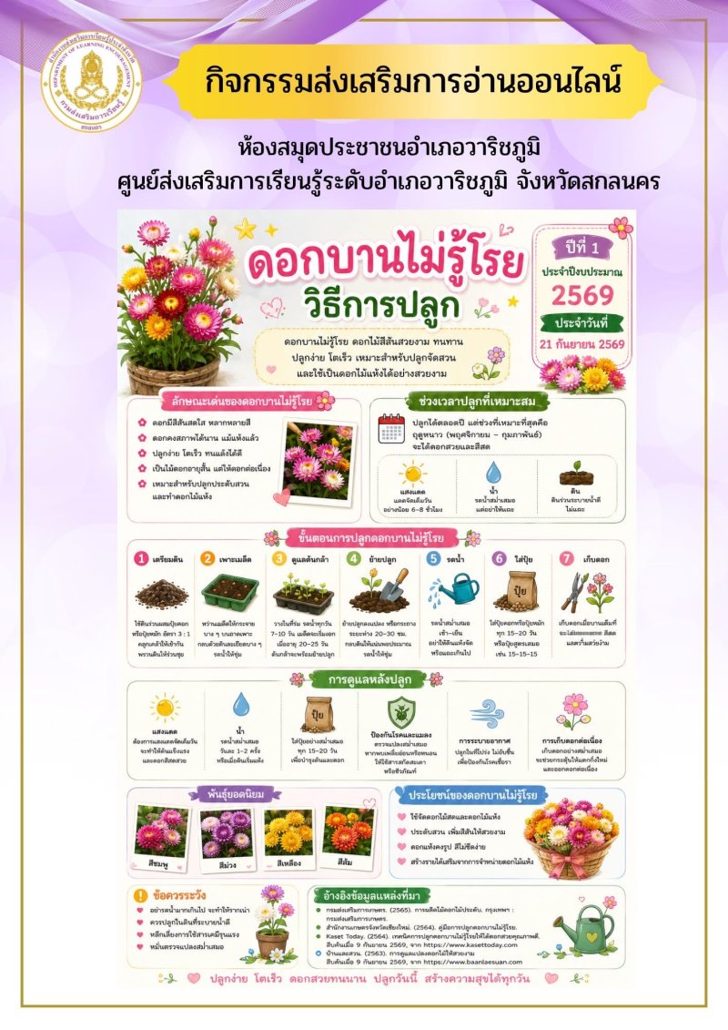 ดอกบานไม่รู้โรยและวิธีการปลูก