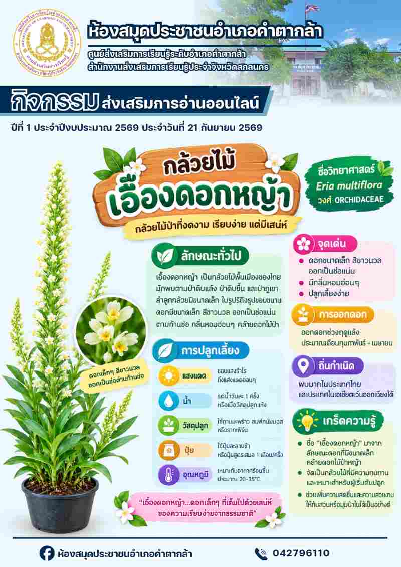 กล้วยไม้เอื้องดอกหญ้า