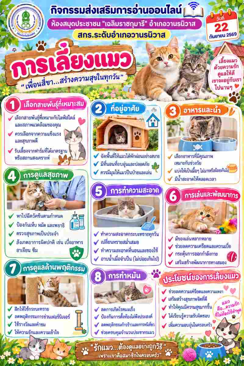 การเลี้ยงแมว