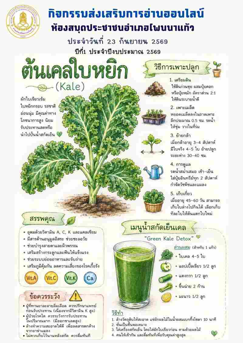 ต้นเคลใบหยิก