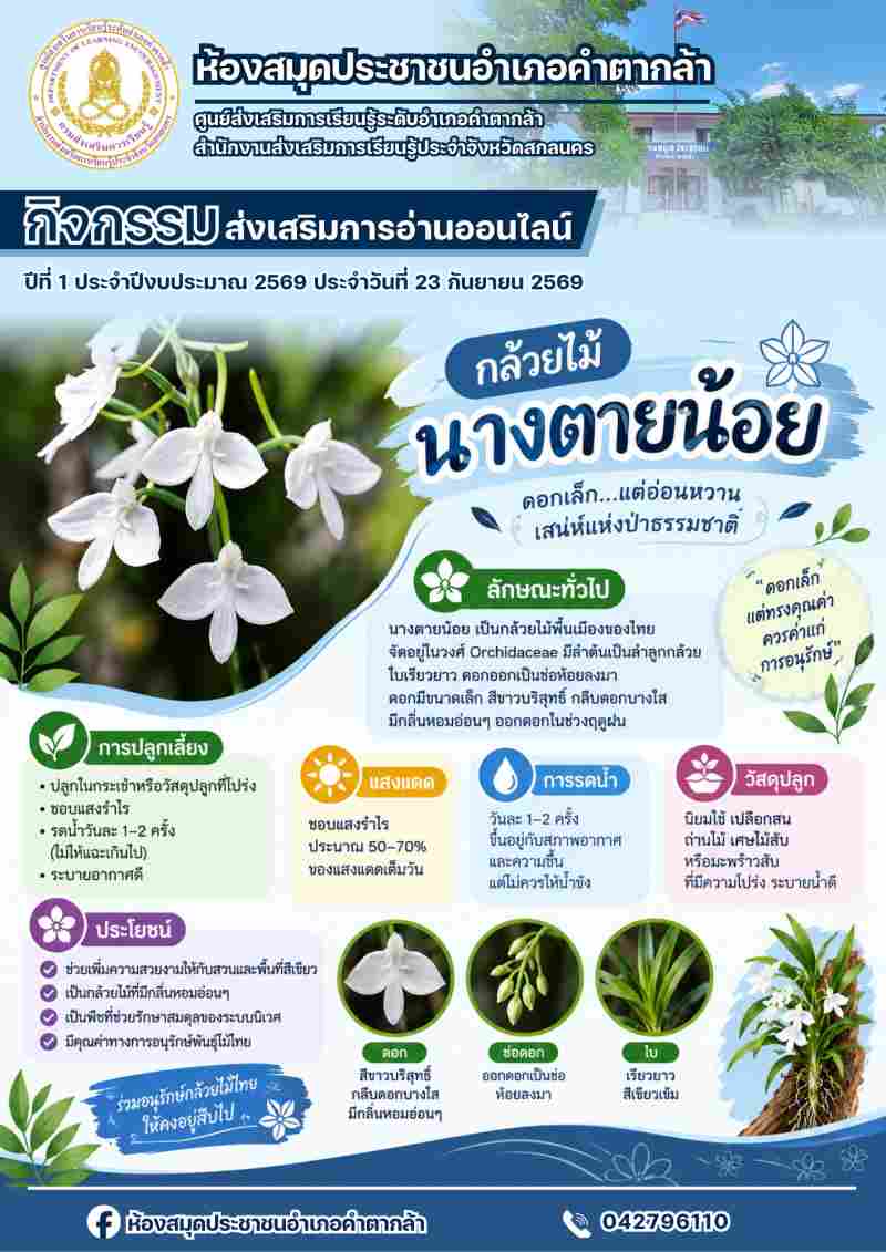 กล้วยไม้นางตายน้อย