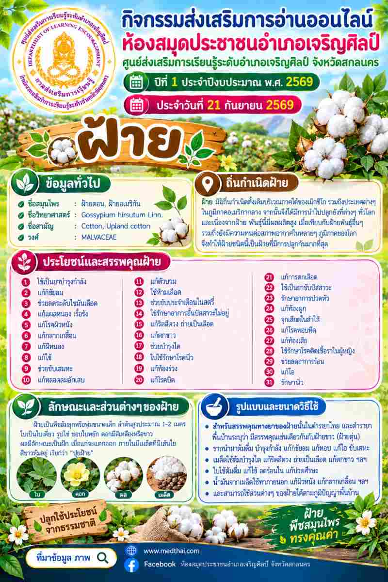 ฝ้าย