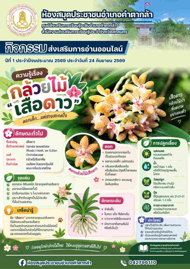 กล้วยไม้เสือดาว