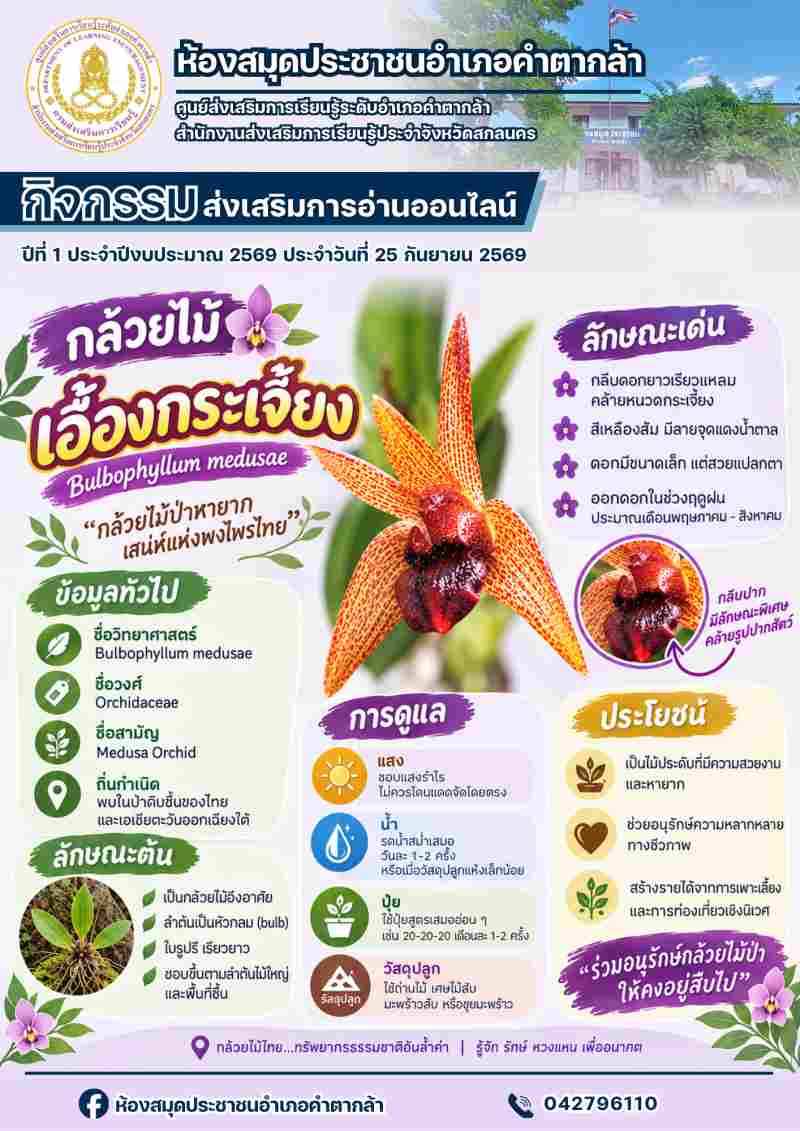 กล้วยไม้เอื้องกระเจี้ยง