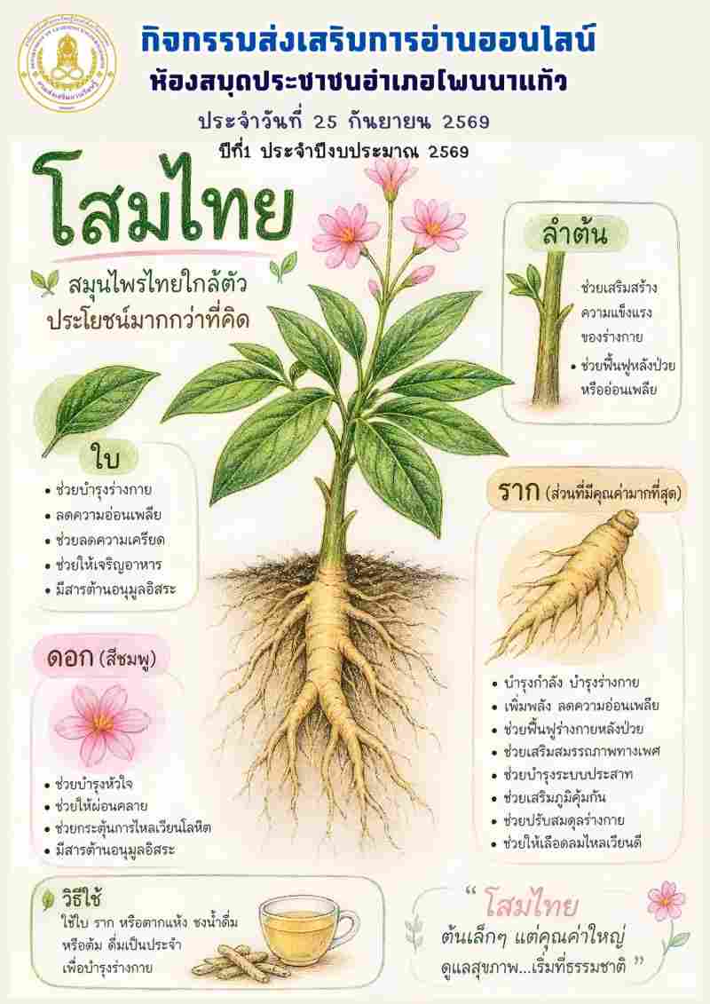โสมไทย