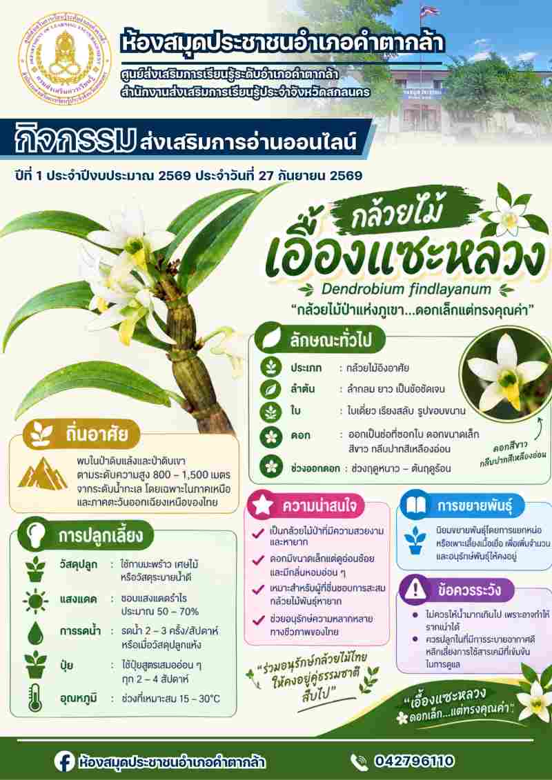 กล้วยไม้เอื้องแซะหลวง