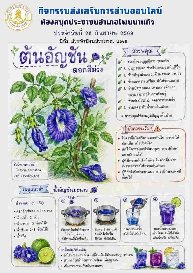 ต้นอัญชัน