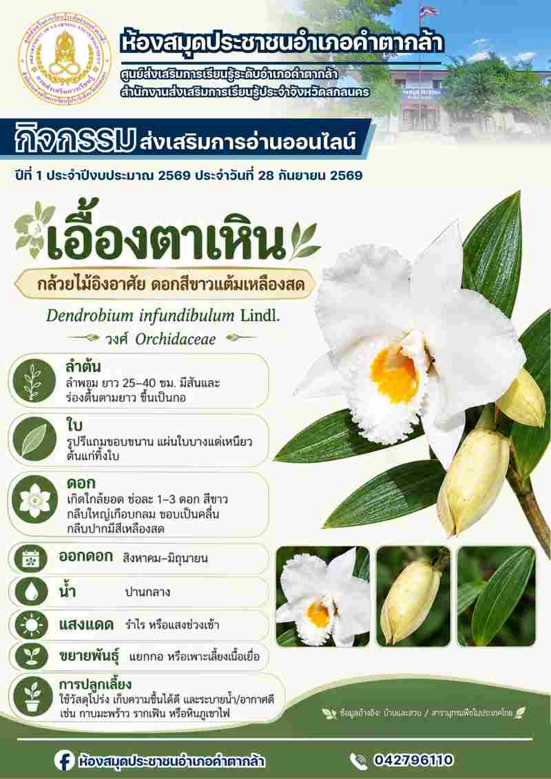 กล้วยไม้เอื้องตาเหิน
