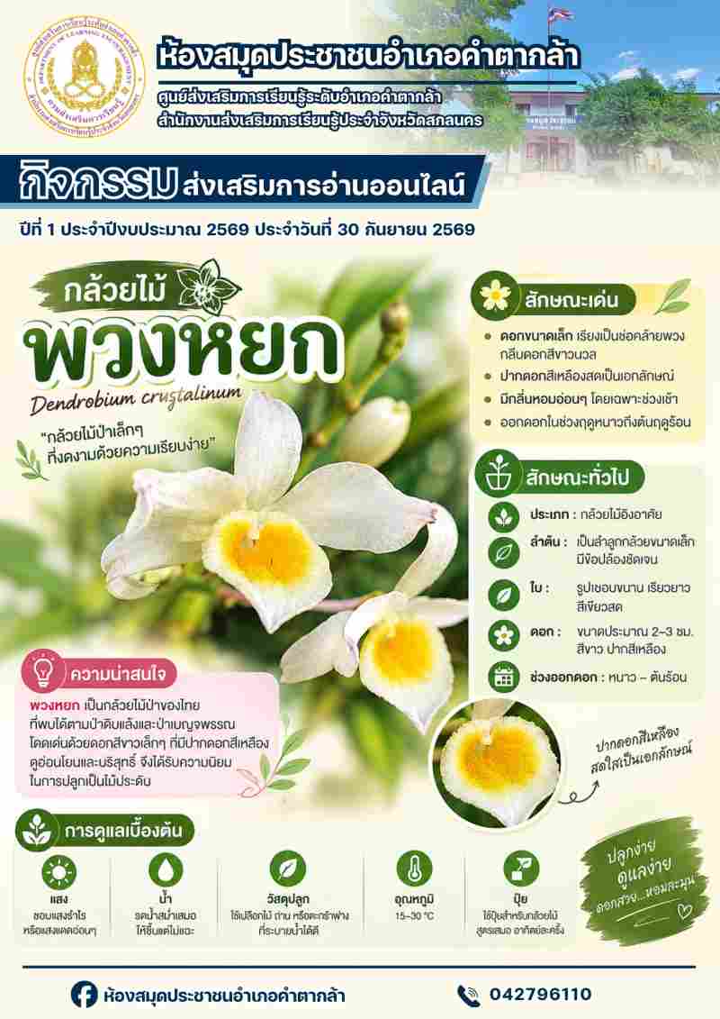 กล้วยไม้พวงหยก