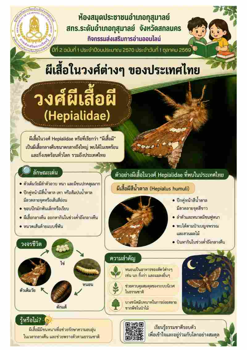 วงศผีเสื้อผี