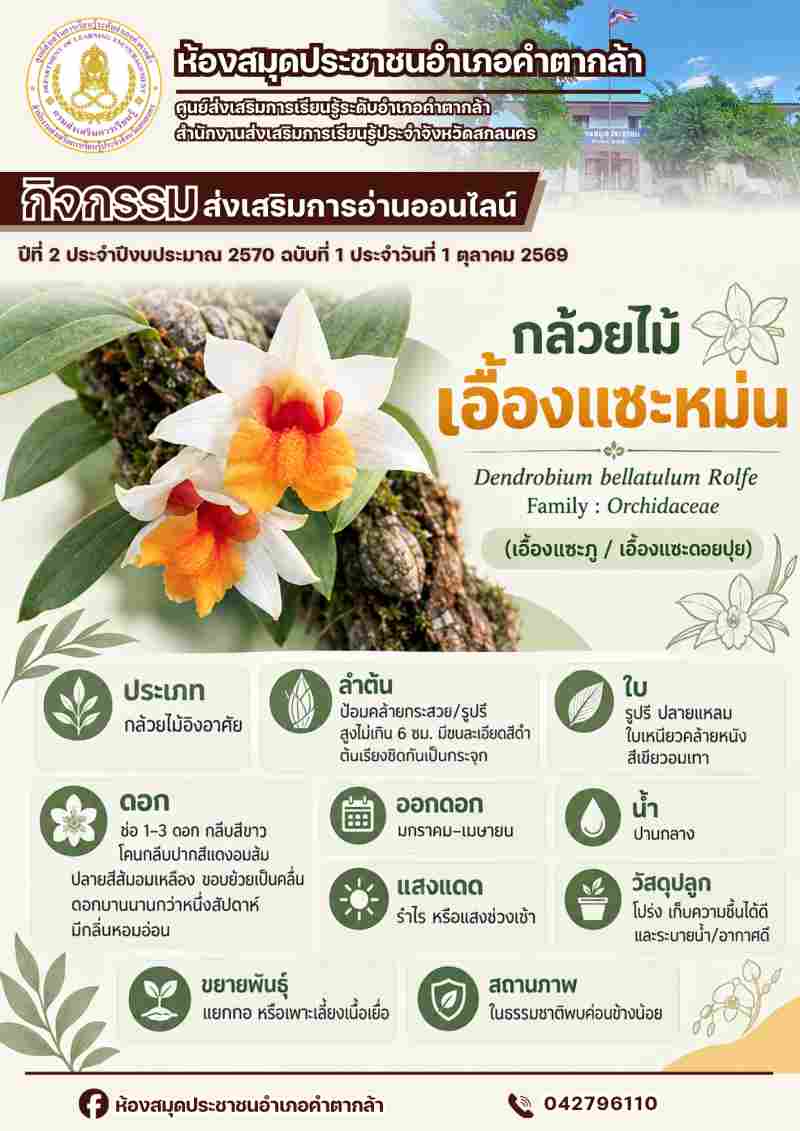 กล้วยไม้เอื้องแซะหม่น