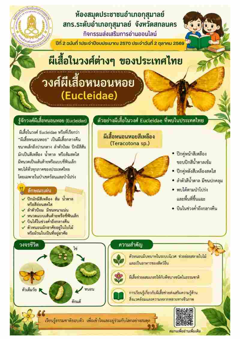 วงศ์ผีเสื้อหนอนหอย