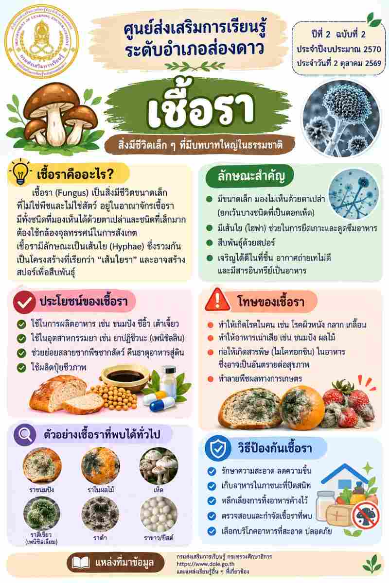 เชื้อรา