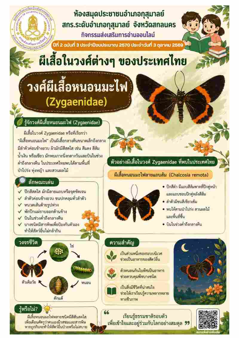 วงศ์ผีเสื้อหนอนมะไฟ