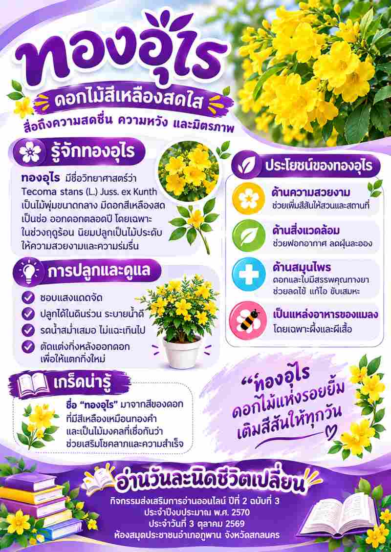 ทองอุไร ดอกไม้สีเหลืองสดใส