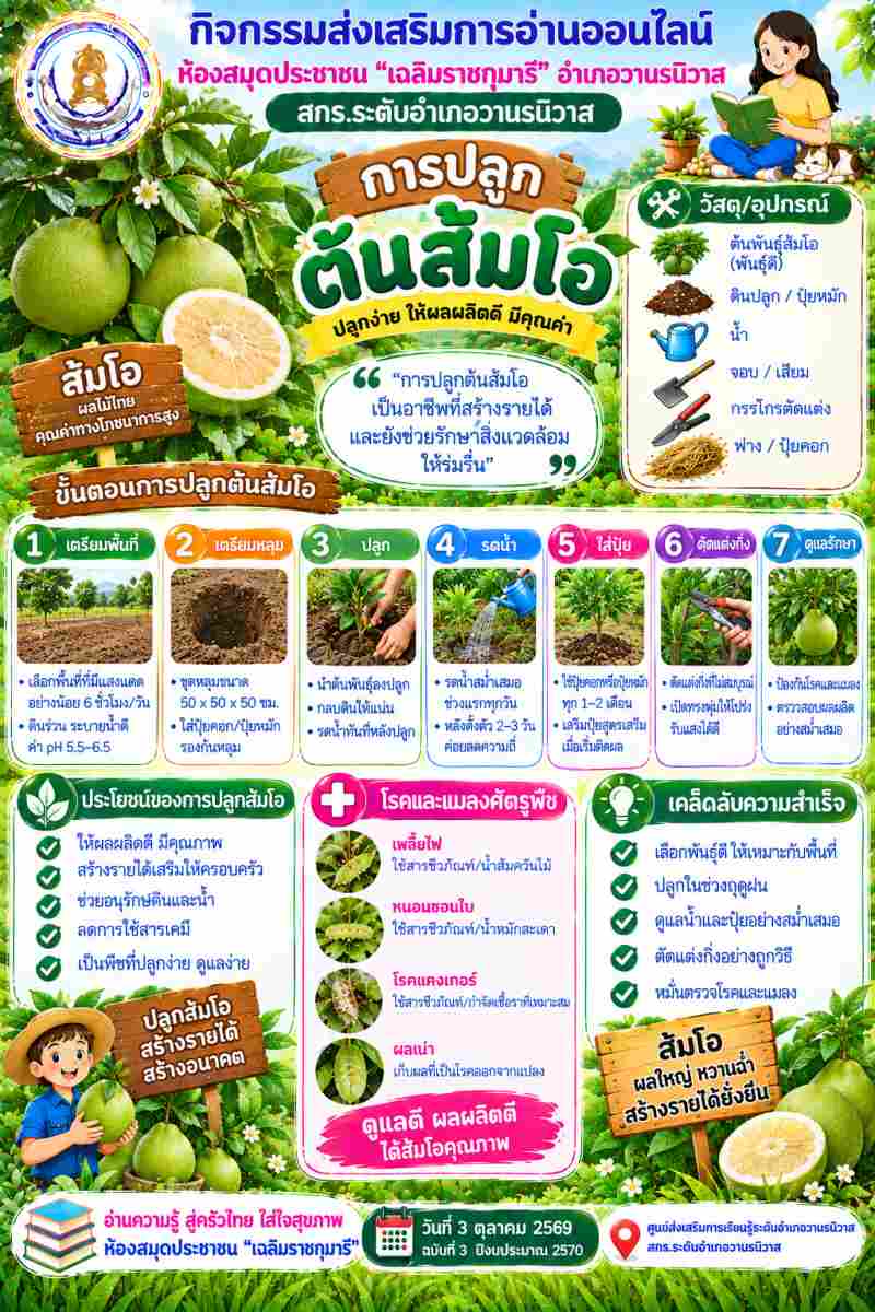 การปลูกต้นส้มโอ