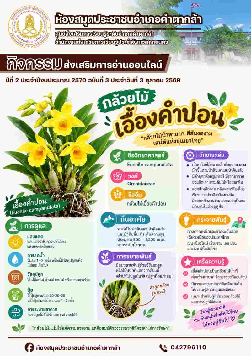 กล้วยไม้เอื้องคำปอน