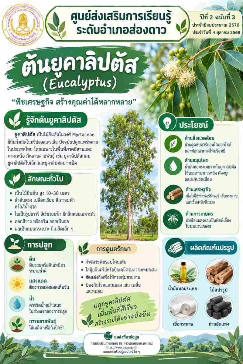 ต้นยูคาลิปตัส