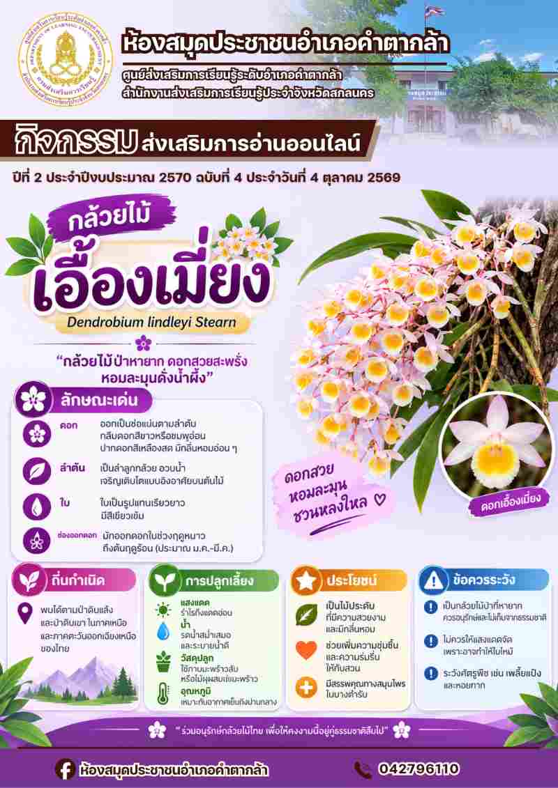กล้วยไม้เอื้องเมี่ยง