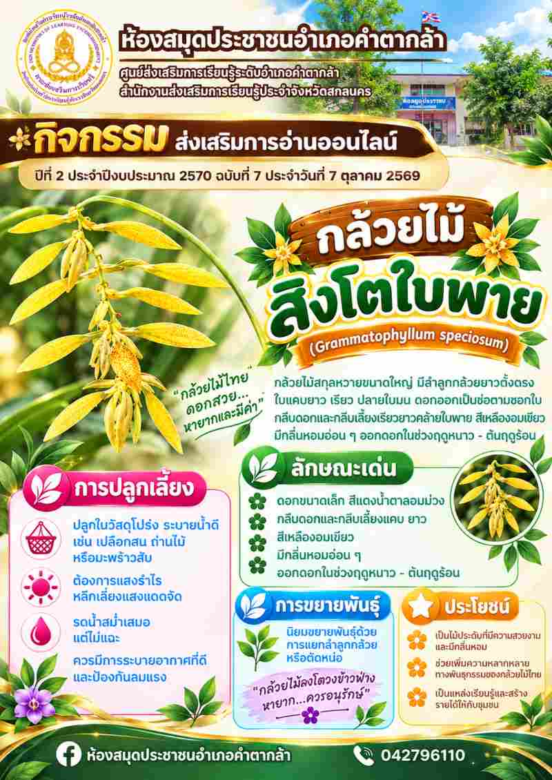 กล้วยไม้สิงโตใบพาย