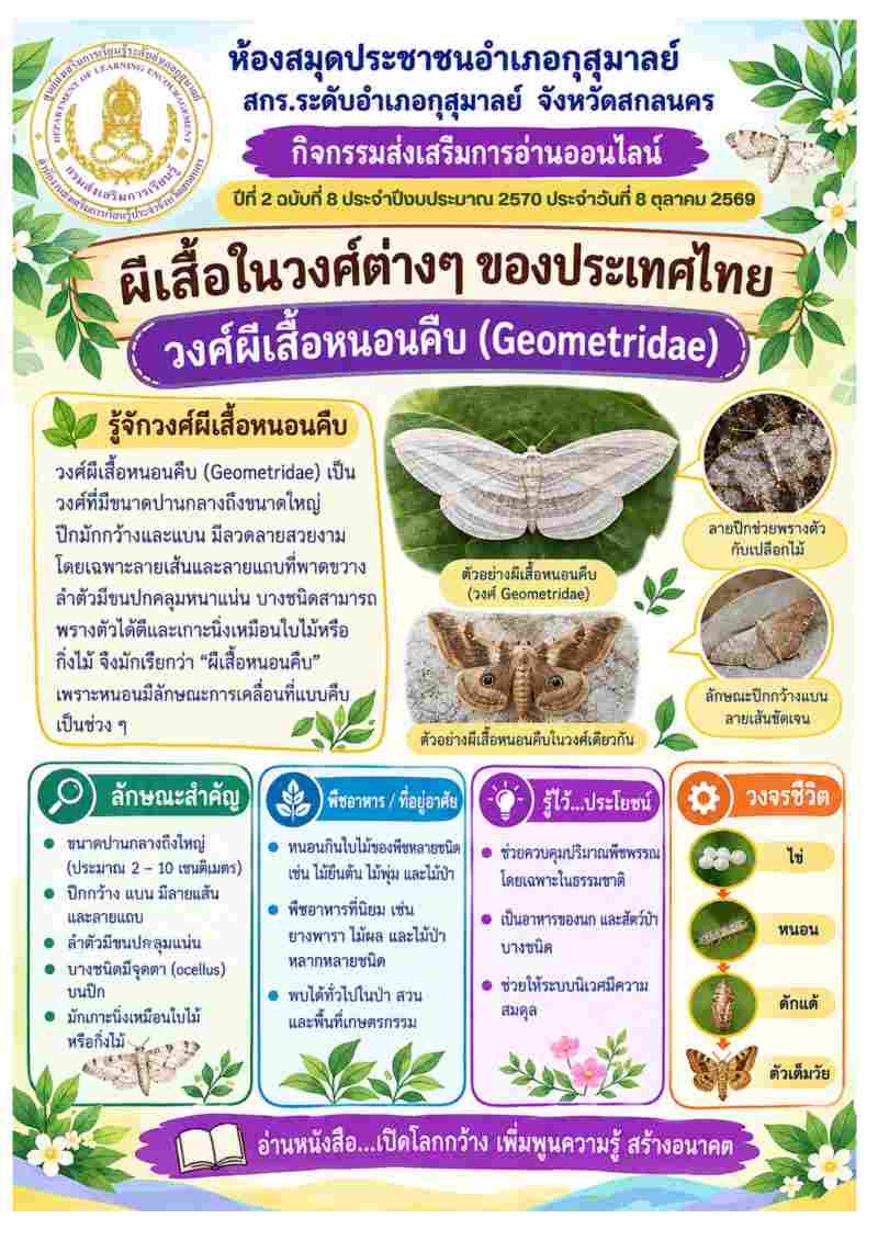 วงศ์ผีเสื้อหนอนคืบ