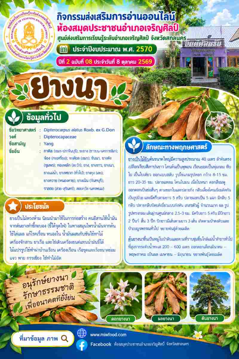 	ยางนา 
