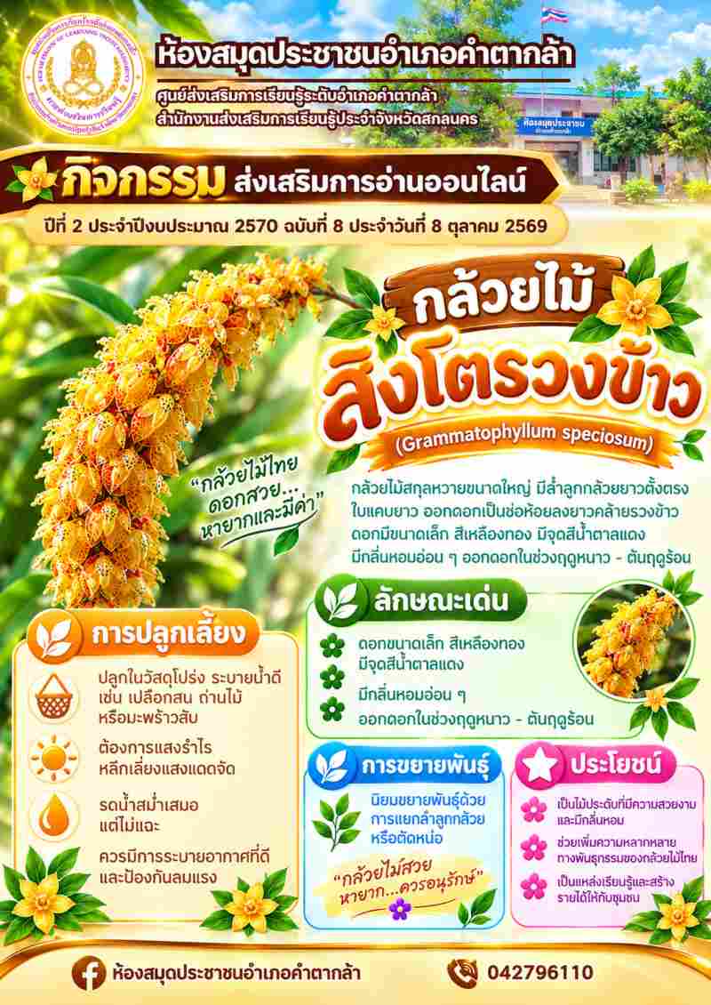 กล้วยไม้สิงโตรวงข้าว