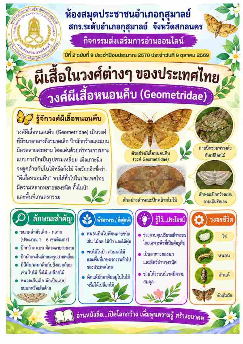 วงศ์ผีเสื้อหนอนคืบ