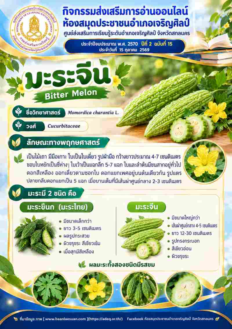 มะระจีน