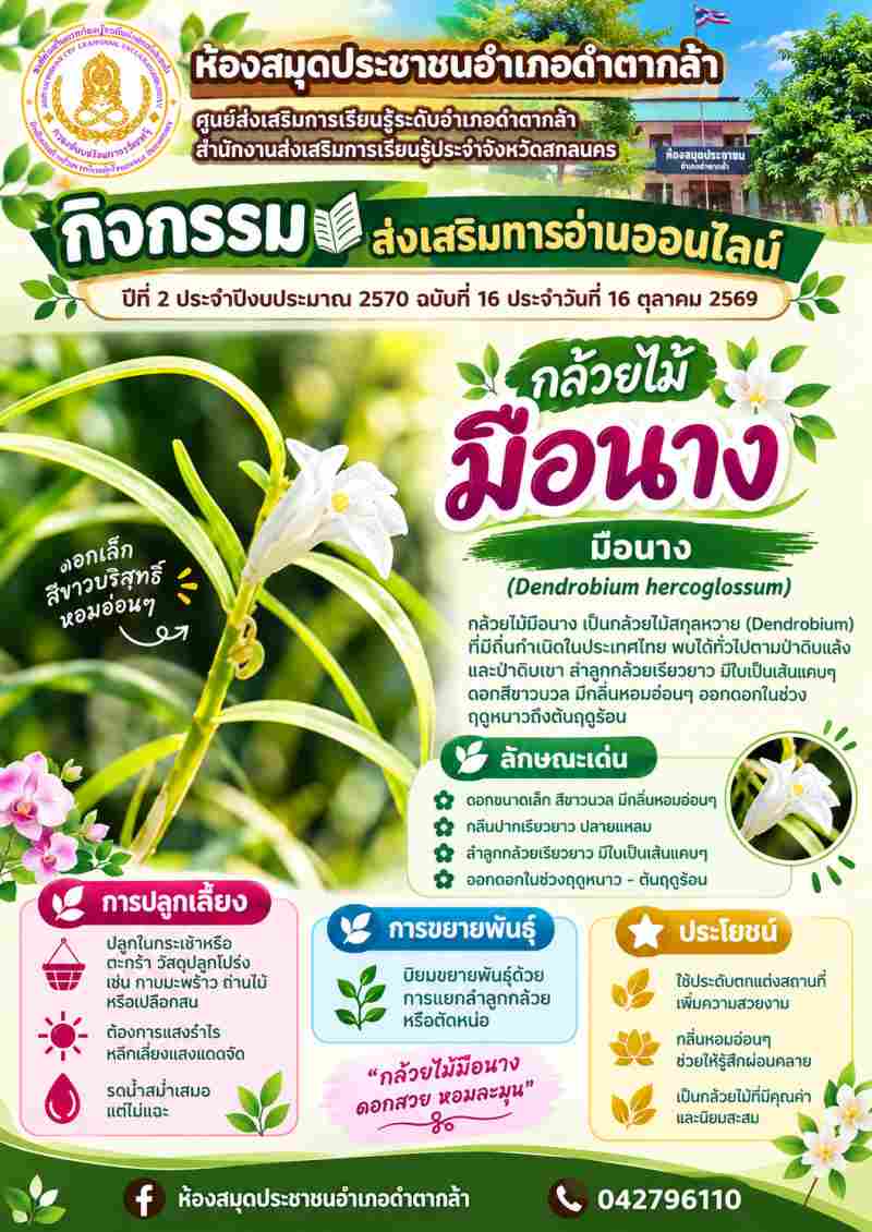 กล้วยไม้มือนาง