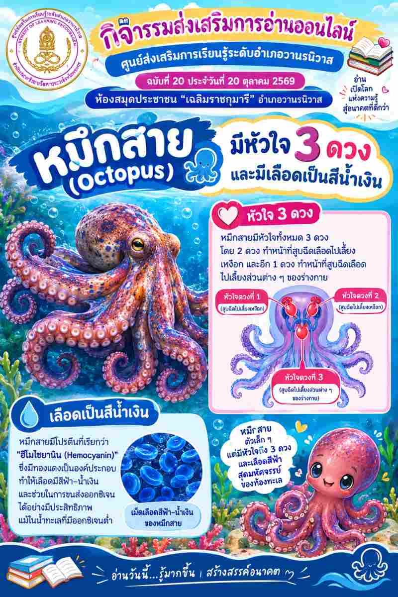 หมึกสาย