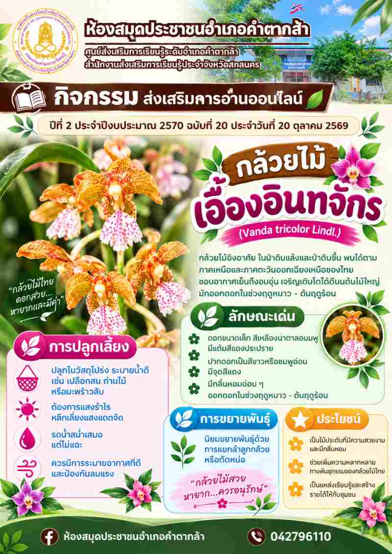 กล้วยไม้เอื้องอินทจักร