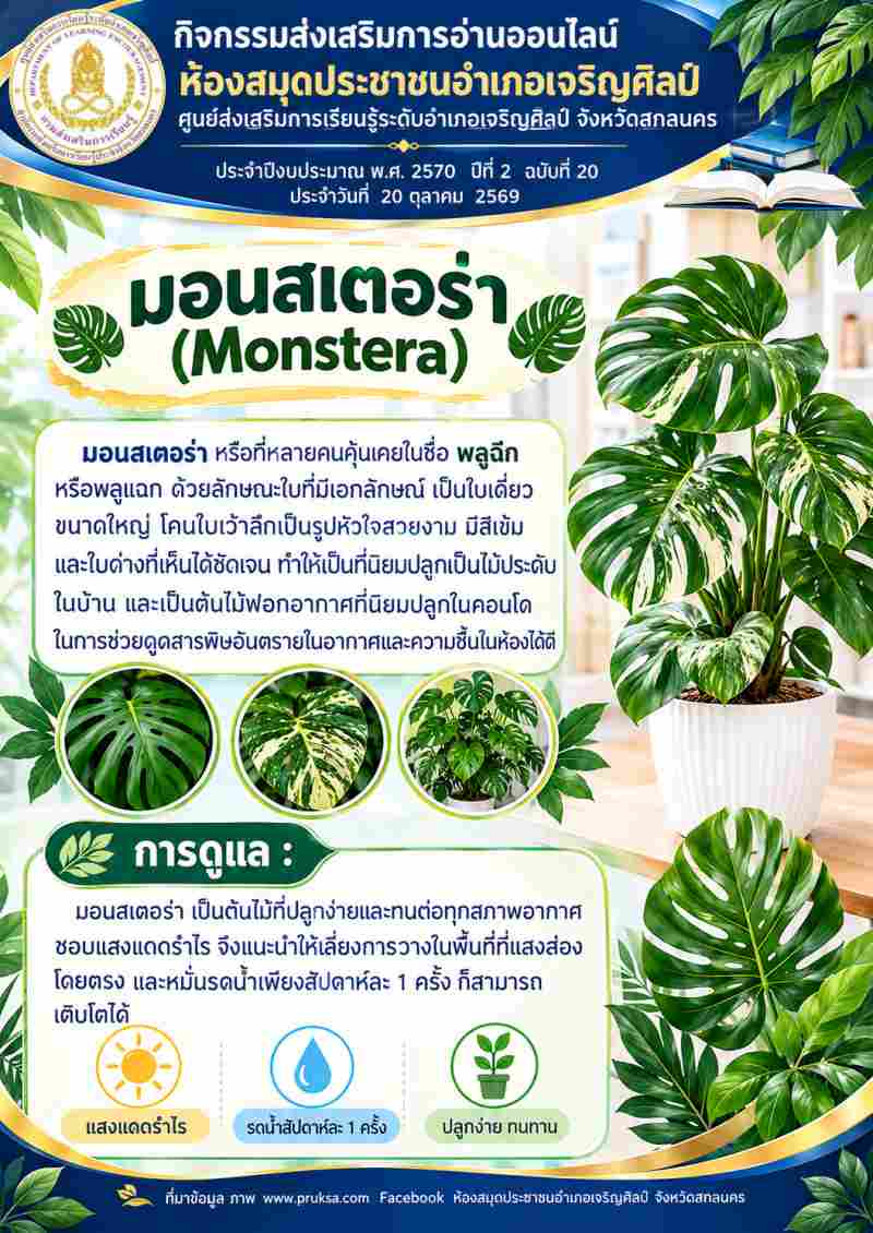 มอนสเตอร่า