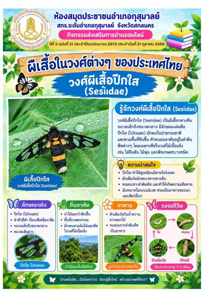 วงศ์ผีเสื้อปีกใส